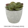 Unique Bargains Artificial Plants Mini Frost Lotus in Pulp Plastic 2.76"x2.76"x2.95" 1Pcs - 3 of 4