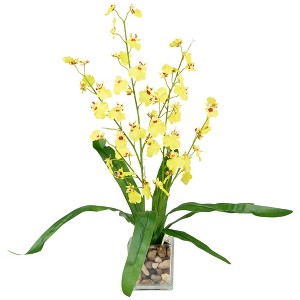 Northlight 23.5" Dancing Lady Orchid Silk Flower Artificial Potted Plant - Yellow - 1 of 4