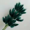 Alilang Dried Bunny Tail Grass Stems for Modern Home Decoration and Floral Arrangements, 23.5 Inches - 2 of 3