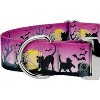 Country Brook Petz 1 1/2 Inch Premium Graveyard Dog Collar - 4 of 4