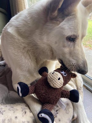 Guest review image 1 of 2, zoom in