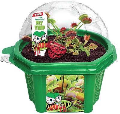 Toys By Nature Character Micro Domes - Target