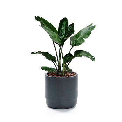 Modern Gray 17'' MgO Outdoor Round Planter with Drainage Hole