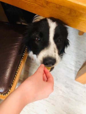 Guest review image 1 of 1, zoom in