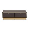 Cormac Wood and Metal 2 Drawer Coffee Table - Baxton Studio - image 4 of 4