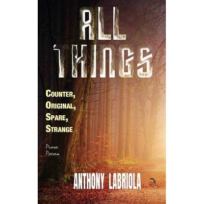 All Things Counter, Original, Spare, Strange - by  Anthony Labriola (Hardcover)