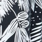 black white foliage