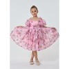 2Bunnies 3D Floral Embroidered Ruffled Tulle Girl Dress - 2 of 4