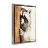 Stupell Industries Peering Raccoon Watercolor, 17" x 21" - 3 of 4