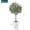 DR.Planzen 5-8FT Adjustable Artificial Olive Tree - UV Resistant Fake Plant in 15.7-22.7" Tall Planter (B/W/Coffee) for Indoor/Outdoor - 4 of 4