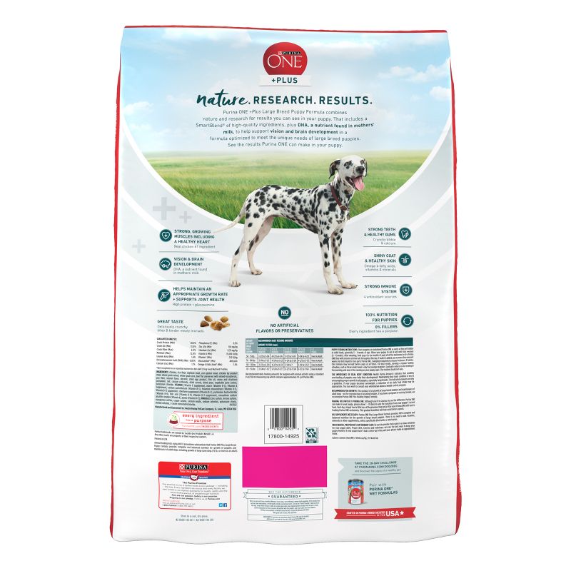 Purina ONE SmartBlend Large Breed Puppy Chicken Flavor Dry Dog Food, 4 of 10