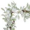 Christmas Snowy Lambs Ear and Holly Berry 9ft Garland-White - 3 of 4