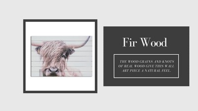 Highland Cow Photographic Print on Fir Wood Wall Art