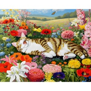 Springbok Cat Nap 500pc Jigsaw Puzzle : Target