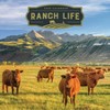 TF Publishing 13.5"x14.5" 2026 Ranch Life Wall Calendar - 2 of 4