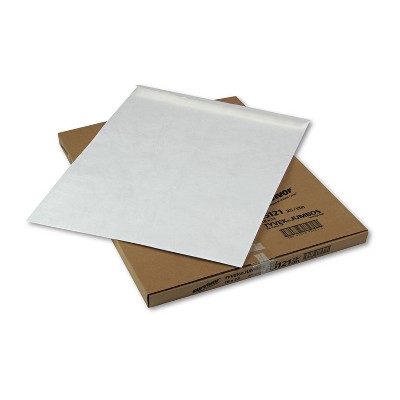 Survivor Tyvek Jumbo Mailer 18 x 23 White 25/Box R5121