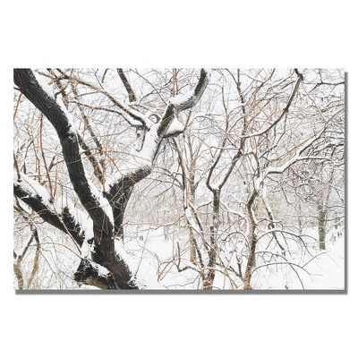 22" x 32" Snowy Trees by Ariane Moshayedi - Trademark Fine Art