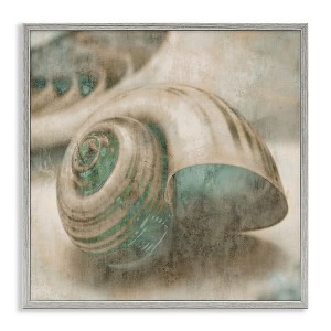 Stupell Industries Centered Sharkeye Seashell, 24" x 24" - 1 of 4
