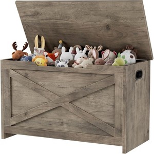Acekool 30" Storage Chest Bench with Safety Hinge, Wooden Toy Box Organizer for Bedroom or Entryway - 1 of 4