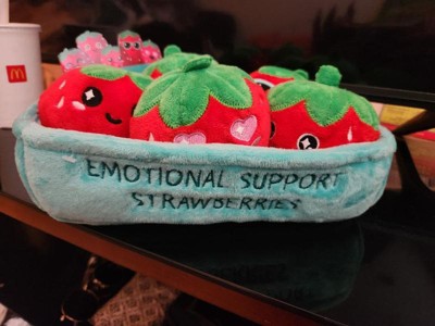  What Do You Meme? Emotional Support Strawberries