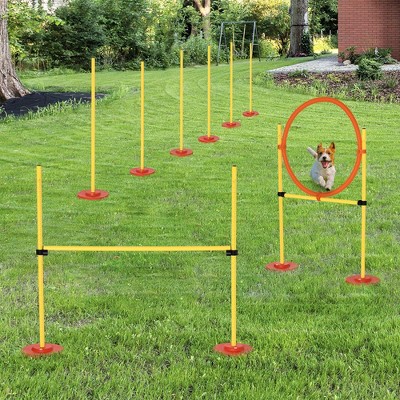 Adjustable Yellow Dog Agility Training Set with Carrying Bag