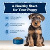 Blue Buffalo Chicken Flavor Puppy Dry Dog Food - 4lbs - 4 of 4