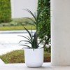 LuxenHome 14.6-Inch Round Smooth Finish White MgO Planter - image 3 of 4