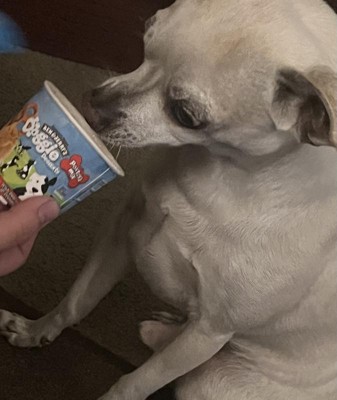 Ben & Jerry's Frozen Dog Treat, Pontch's Mix, 4 ct