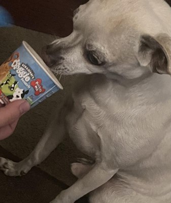 Ben and jerry's for dogs hot sale