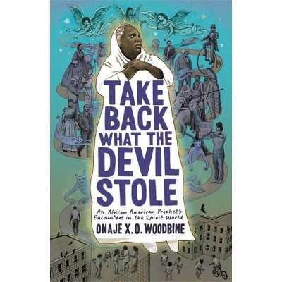 Take Back What the Devil Stole - by  Onaje X O Woodbine (Hardcover)