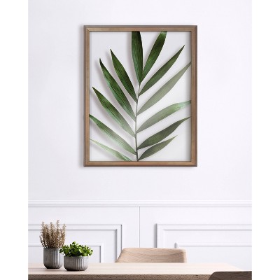 Gold Framed Botanical Print on Glass, 16" x 20"