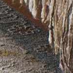 taupe, mediumgray, lightolive, darkbrown