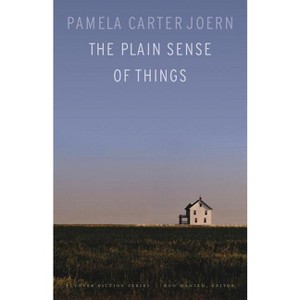 The Plain Sense of Things - (Flyover Fiction) by  Pamela Carter Joern (Paperback) - 1 of 1