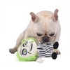 Halloween Warner Bros. Beetlejuice Dog Plush Toy : Target