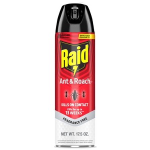 Raid Ant & Roach Killer Fragrance Free - 1 of 4