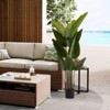 Dovelina Artificial Tree Indoor Tree Plants Faux Tree with for Home Decor - 2 of 4