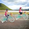 Prorider 18" Kid's Bike with Training Wheels Adjustable Handlebar Seat Handbrake Blue/Green/Pink - 4 of 4