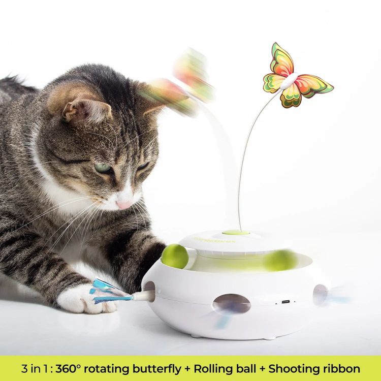 Allforpaws 3-In-1 Feline Ultimate Interactives Cat Toy with Butterfly Flutter Bug & Simulates Prey for Indoor Enrichment, Halloween Pet Toy, 3 of 13