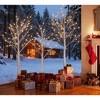 Set of Lighted Birch Tree, 4FT 48 LED/5FT 72 LED/6FT 96 LED Artificial Tree with Warm White Lights, Christmas Tree for ​Decoration Inside and Outside - 3 of 4