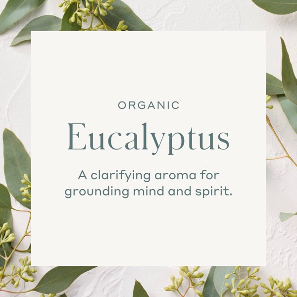 Aceite Esencial Orgánico de Eucalipto - Casaluna™ 4