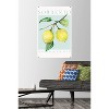 Trends International Reinders: Fruit Market - Limoncello Per Tutti Unframed Wall Poster Prints - 2 of 4