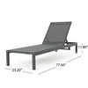 Modern Outdoor Chaise Lounges with Aluminum Frame, Breathable Seating Mesh Patio Recliner Chair, Adjustable Outside Chair -Christopher Knight Home - 2 of 4