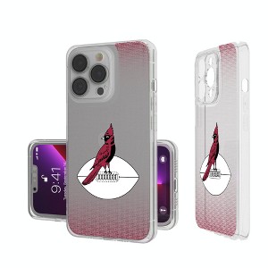 Keyscaper Vintage NFL Linen Clear Cell Phone Case for iPhone 13 - 1 of 4