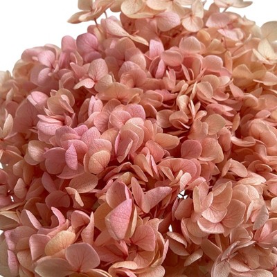 Alilang Decorative Dried Hydrangea Blooms for Home Decoration and Floral Arrangements, 7.8 Inches