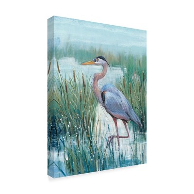 Trademark Fine Art -Tim Otoole 'Marsh Heron Ii' Canvas Art