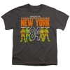 Teenage Mutant Ninja Turtles Teenage Mutant Ninja Turtles NYC Youth T Shirt, Charcoal - 2 of 4