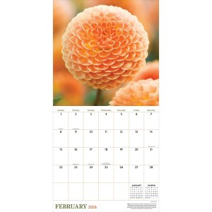 TF Publishing 13.5"x14.5" 2026 Flowers Wall Calendar - 1 of 4