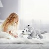 FAO Schwarz Adopt-A-Pets Husky 22" Stuffed Animal with Adoption Certificate - 2 of 4