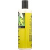Shikai Cucumber Melon Moisturizing Shower Gel - 12 fz - 3 of 4