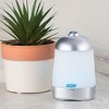 Sparoom HALLS® Mini SpaMist Essential Oil Diffuser + 5ml Mentho-Lyptus Oil - 3 of 4